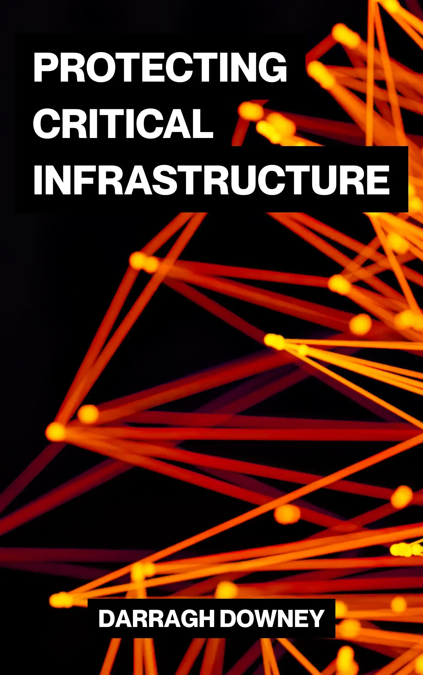 Protecting Critical Infrastructure Book Cover